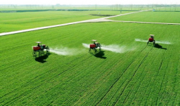 在希望的田野上